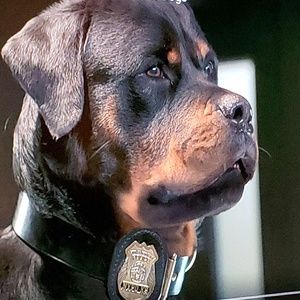 Meet your Posher, Shiv